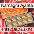 Kamagra Ajanta new05